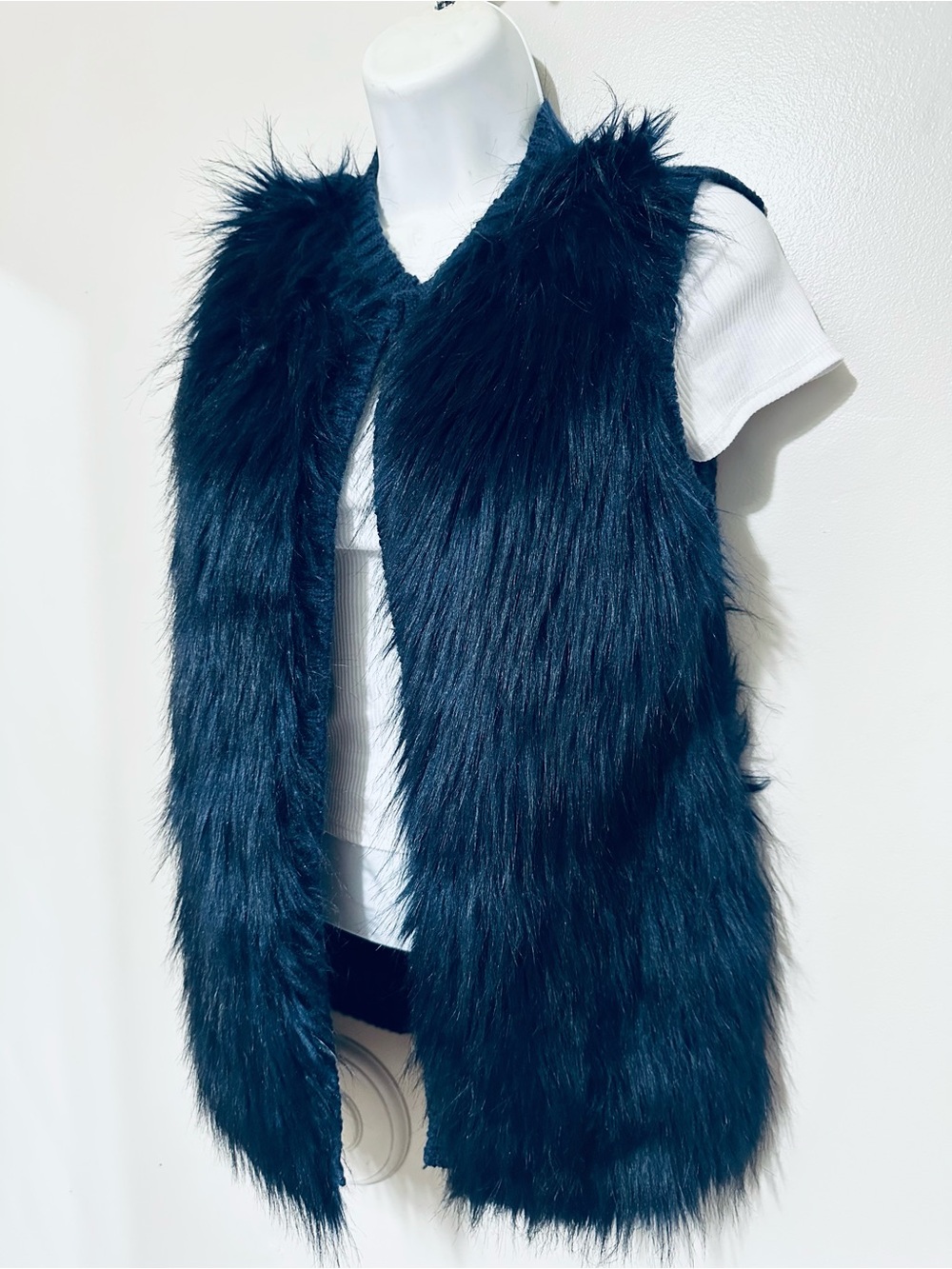 Plush Faux Fur Vest in Deep Blue